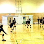 シーガル・バレーボールスクールのblog