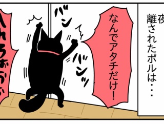 猫の名はポル㉔