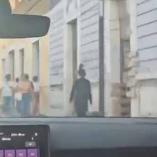 猫の動画 ねこわん！