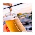 ゴールデンウィーク総括～な生ビールサーバー＆冷えたお茶ペット
