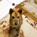 おやつ欲しい！