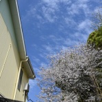 さつきヶ丘保育園