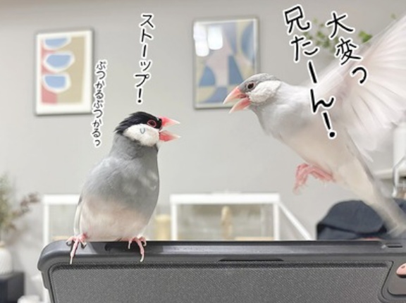 ジルが誘ってきた場所は…