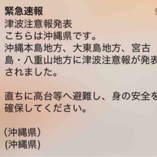 風の動物病院のブログ