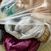 衣替えをして古着を売りに行こうと思ったら・・・
