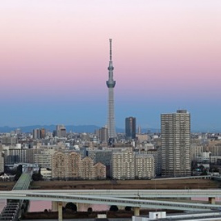 東京スカイツリー定点観測所