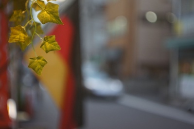 Zuiho Honor 50mm f1.9（Lマウント） : 会計士によるバリュー