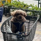 事態はさらに悪く～