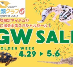 【4/29～5/6はＧＷセール！！】