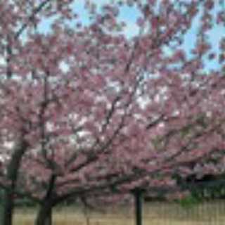 Ｌａ２４４～第２スタヂアム