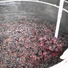 �إ磻���¤�θ��ֺ£����ܡ٤β���