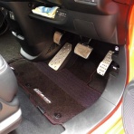 ビワコオオナマズ飼育日記