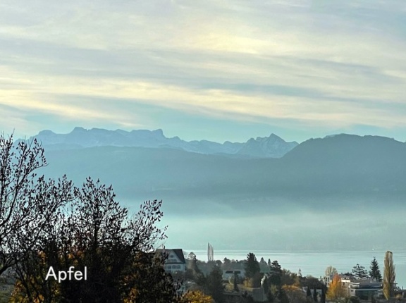我が家で開いた夕食会