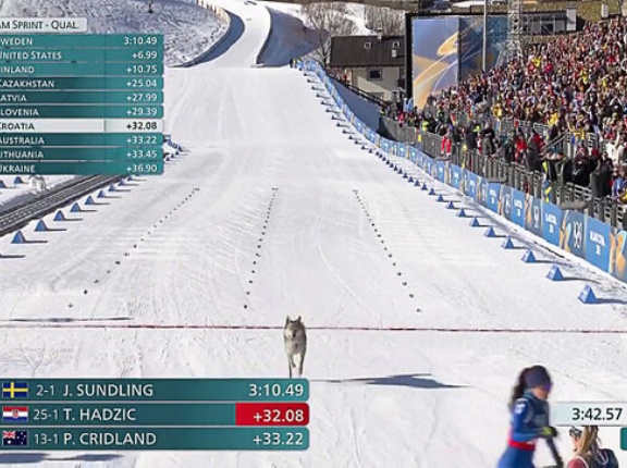 外国人「俺達が興味深いと思った冬季五輪の画像を見せていく！」