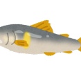 ぶっちゃけめちゃくちゃ過大評価されてる魚