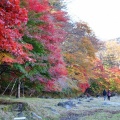 紅葉狩りドライブ🍁紅の吊橋...他