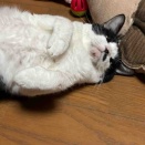 油断するとこうなる…