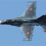 日常と非日常な日々