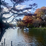 サイがゆく。絶景重視の夫婦外遊び（キャンプと登山、釣り少々）