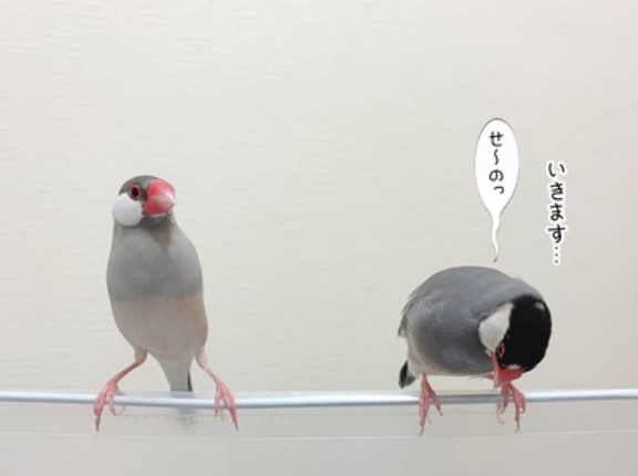 ランウェイを目指す