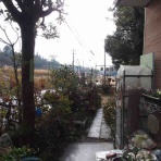 らんぼう窯風信