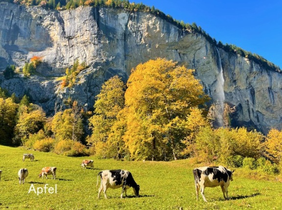 アルプスの村 ラウターブルネンをハイキング🇨🇭