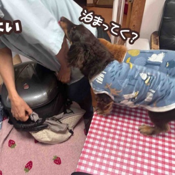 大阪より友来たる。