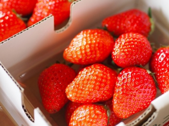 「新潟生まれ」のおいしいものが集結！『新潟日報メディアシップ』で『NIIGATA CRAFT FARMERS MARCHE（ニイガタ クラフト ファーマーズ マルシェ）』開催！2月13日～14日。