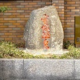 【宝塚市 テレビ】関西テレビ『newsランナー』5月5日放送「宝塚温泉」特集をYoutubeで見ることができますよ！