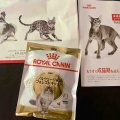ロイヤルカナンと我が家のメンズトリオ