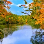 菊野台・骨盤調整とやさしいヨガの会