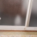 猫に小判を与えたら。 埋蔵金：千九百拾伍両　面倒ぅなヤツぅ。