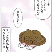 母の「謎のぬけがら」