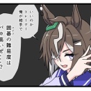 【ウマ娘】ルラシと囲碁