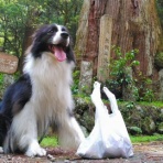 ひろいびと 清掃登山犬達と三重県の山ゴミ拾い清掃活動記録