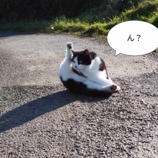 ソワレが要らないフランス暮らし