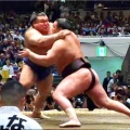 初日早々、横綱豊昇龍が負傷し２日目から球場とは残念ですネ…