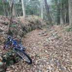 austintexasの自転車日誌