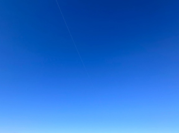 🐜謹賀新年🐜