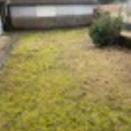 あるベーシストのつぶやき