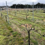 サイレント・ドライブ