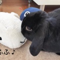 ー ひなたぼっこ ー