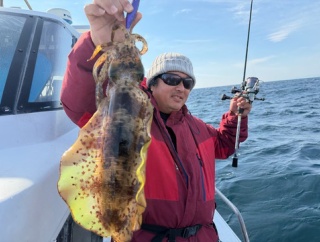 ティップラン、昨日と今日。