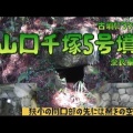 山口千塚5号（リニューアル版）（葛城市）（奈良県）（後期）Yamaguchi Senzuka No.5 Tumulus,Nara Pref.