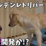 BLITZ WORKS 俺のブログ by ローリー青野