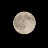 『あいかわらず同じところにかよいつづけているので』の画像