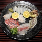 土佐料理　旬の鰹がゆく！