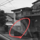 やっぱり出てきた！