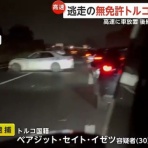 ハムスター速報