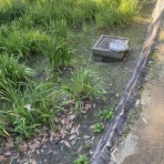 名古屋（の近く）のブログ